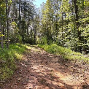 Photo #15 of 29.46 AC Steele, Sandy Ridge, NC 29.5 acres