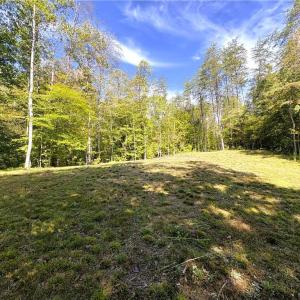 Photo #19 of 29.46 AC Steele, Sandy Ridge, NC 29.5 acres