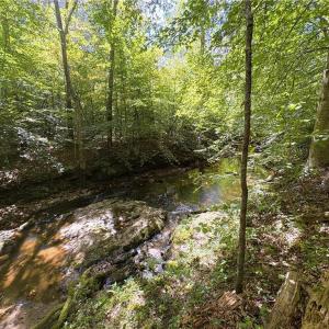 Photo #31 of 29.46 AC Steele, Sandy Ridge, NC 29.5 acres