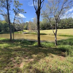 Photo #39 of 29.46 AC Steele, Sandy Ridge, NC 29.5 acres