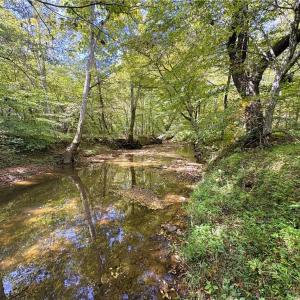 Photo #29 of 29.46 AC Steele, Sandy Ridge, NC 29.5 acres