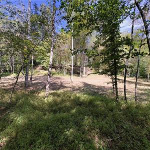 Photo #25 of 29.46 AC Steele, Sandy Ridge, NC 29.5 acres