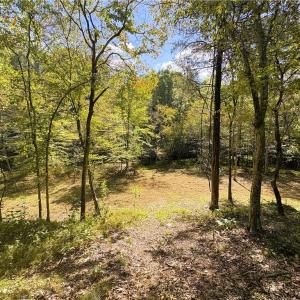 Photo #21 of 29.46 AC Steele, Sandy Ridge, NC 29.5 acres