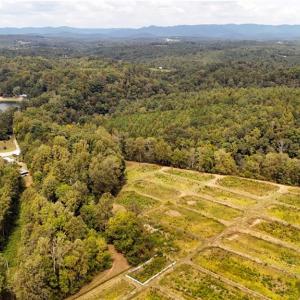 Photo #6 of Wildlife, Mount Airy, NC 28.0 acres