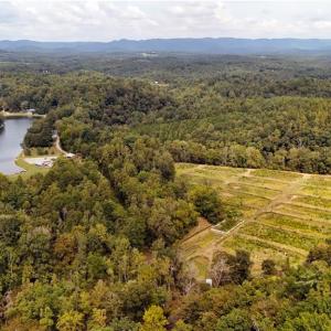 Photo #3 of Wildlife, Mount Airy, NC 28.0 acres