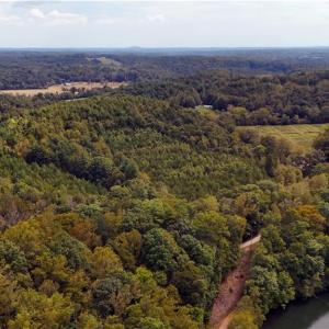 Photo #5 of Wildlife, Mount Airy, NC 28.0 acres