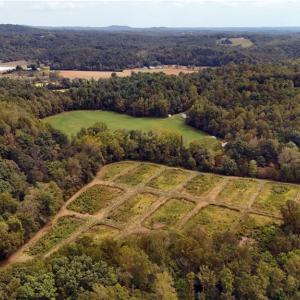 Photo #11 of Wildlife, Mount Airy, NC 28.0 acres