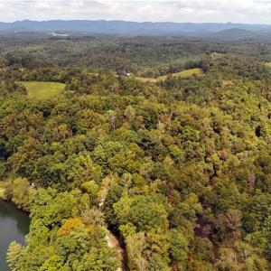 Photo #4 of Wildlife, Mount Airy, NC 28.0 acres