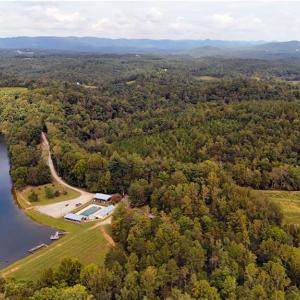 Photo #8 of Wildlife, Mount Airy, NC 28.0 acres