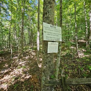 Photo #23 of Old Mill, Pinnacle, NC 21.5 acres