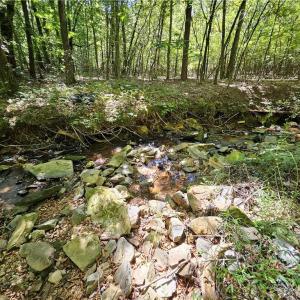 Photo #17 of Old Mill, Pinnacle, NC 21.5 acres