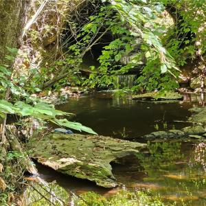Photo #16 of Old Mill, Pinnacle, NC 21.5 acres