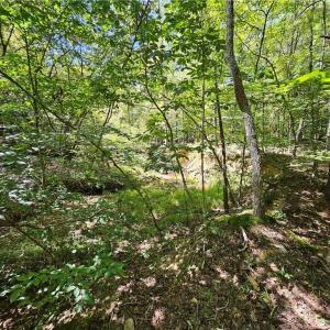 Photo #22 of Old Mill, Pinnacle, NC 21.5 acres