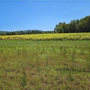 Photo #7 of Old Mill, Pinnacle, NC 21.5 acres