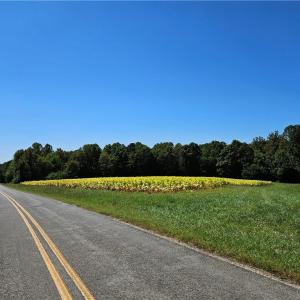 Photo #3 of Old Mill, Pinnacle, NC 21.5 acres