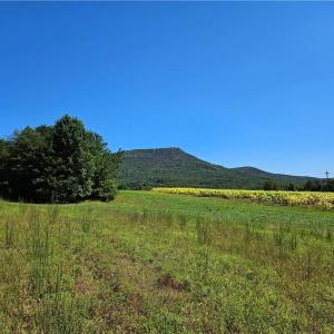 Photo #1 of Old Mill, Pinnacle, NC 21.5 acres