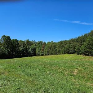 Photo #5 of Old Mill, Pinnacle, NC 21.5 acres