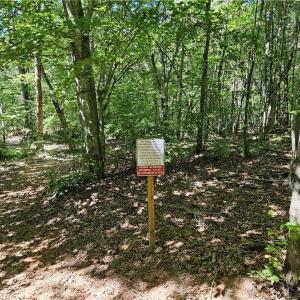 Photo #14 of Old Mill, Pinnacle, NC 21.5 acres