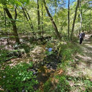 Photo #18 of Old Mill, Pinnacle, NC 21.5 acres