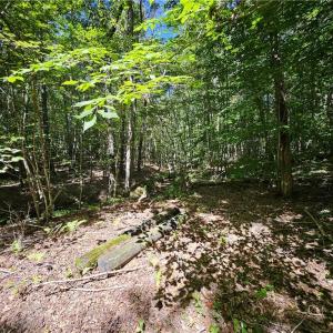 Photo #19 of Old Mill, Pinnacle, NC 21.5 acres