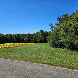 Photo #4 of Old Mill, Pinnacle, NC 21.5 acres