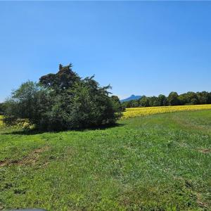 Photo #27 of Old Mill, Pinnacle, NC 29.3 acres