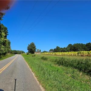 Photo #2 of Old Mill, Pinnacle, NC 29.3 acres