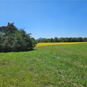 Photo #26 of Old Mill, Pinnacle, NC 29.3 acres
