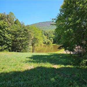 Photo #22 of Old Mill, Pinnacle, NC 29.3 acres