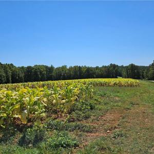 Photo #4 of Old Mill, Pinnacle, NC 29.3 acres