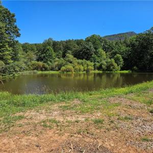 Photo #25 of Old Mill, Pinnacle, NC 29.3 acres