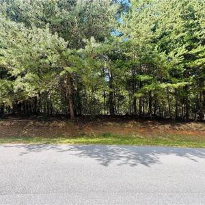 Photo #3 of 175 Lakewood, New London, NC 0.8 acres