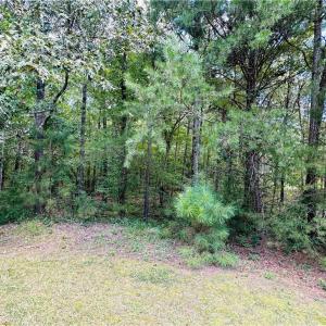 Photo #7 of 178 Bayview, New London, NC 0.9 acres
