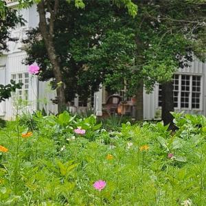 Photo #16 of 469 Justamere Farm, Greensboro, NC 21.1 acres