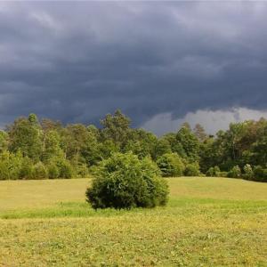 Photo #10 of 469 Justamere Farm, Greensboro, NC 21.1 acres
