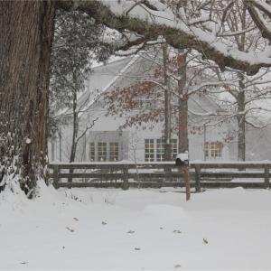 Photo #5 of 469 Justamere Farm, Greensboro, NC 21.1 acres