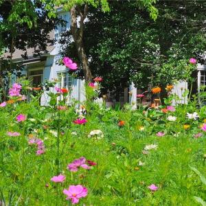 Photo #4 of 469 Justamere Farm, Greensboro, NC 21.1 acres