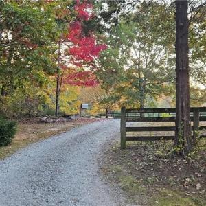 Photo #11 of 469 Justamere Farm, Greensboro, NC 21.1 acres