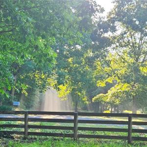 Photo #16 of 469 Justamere Farm, Greensboro, NC 21.1 acres