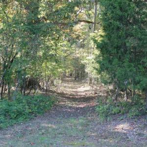 Photo #11 of 469 Justamere Farm, Greensboro, NC 21.1 acres