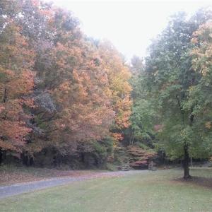 Photo #2 of 469 Justamere Farm, Greensboro, NC 21.1 acres