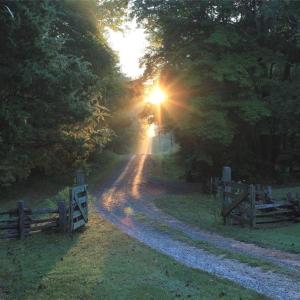 Photo #22 of 469 Justamere Farm, Greensboro, NC 21.1 acres
