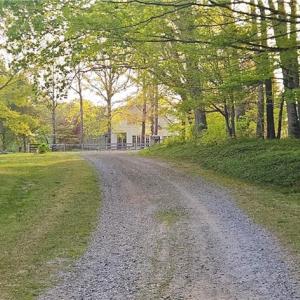 Photo #4 of 469 Justamere Farm, Greensboro, NC 21.1 acres