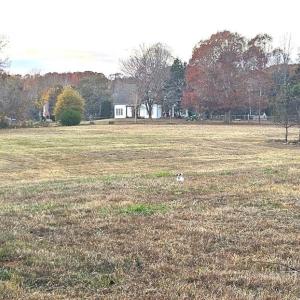 Photo #8 of 469 Justamere Farm, Greensboro, NC 21.1 acres