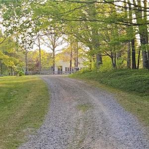 Photo #5 of 469 Justamere Farm, Greensboro, NC 21.1 acres
