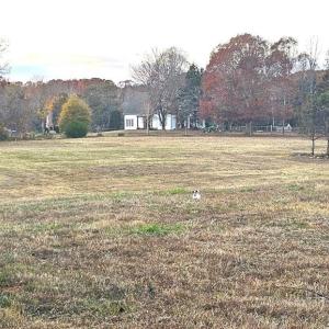 Photo #9 of 469 Justamere Farm, Greensboro, NC 21.1 acres