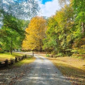 Photo #8 of 469 Justamere Farm, Greensboro, NC 21.1 acres