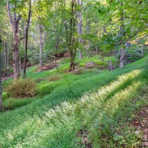 Photo #23 of Cox Store, Floyd, VA 24.1 acres