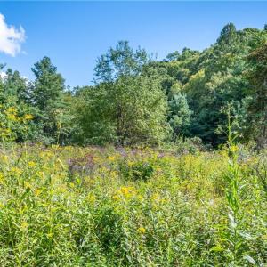 Photo #17 of Cox Store, Floyd, VA 24.1 acres