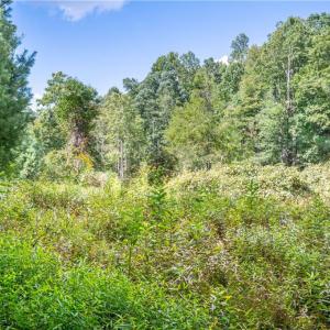 Photo #16 of Cox Store, Floyd, VA 24.1 acres